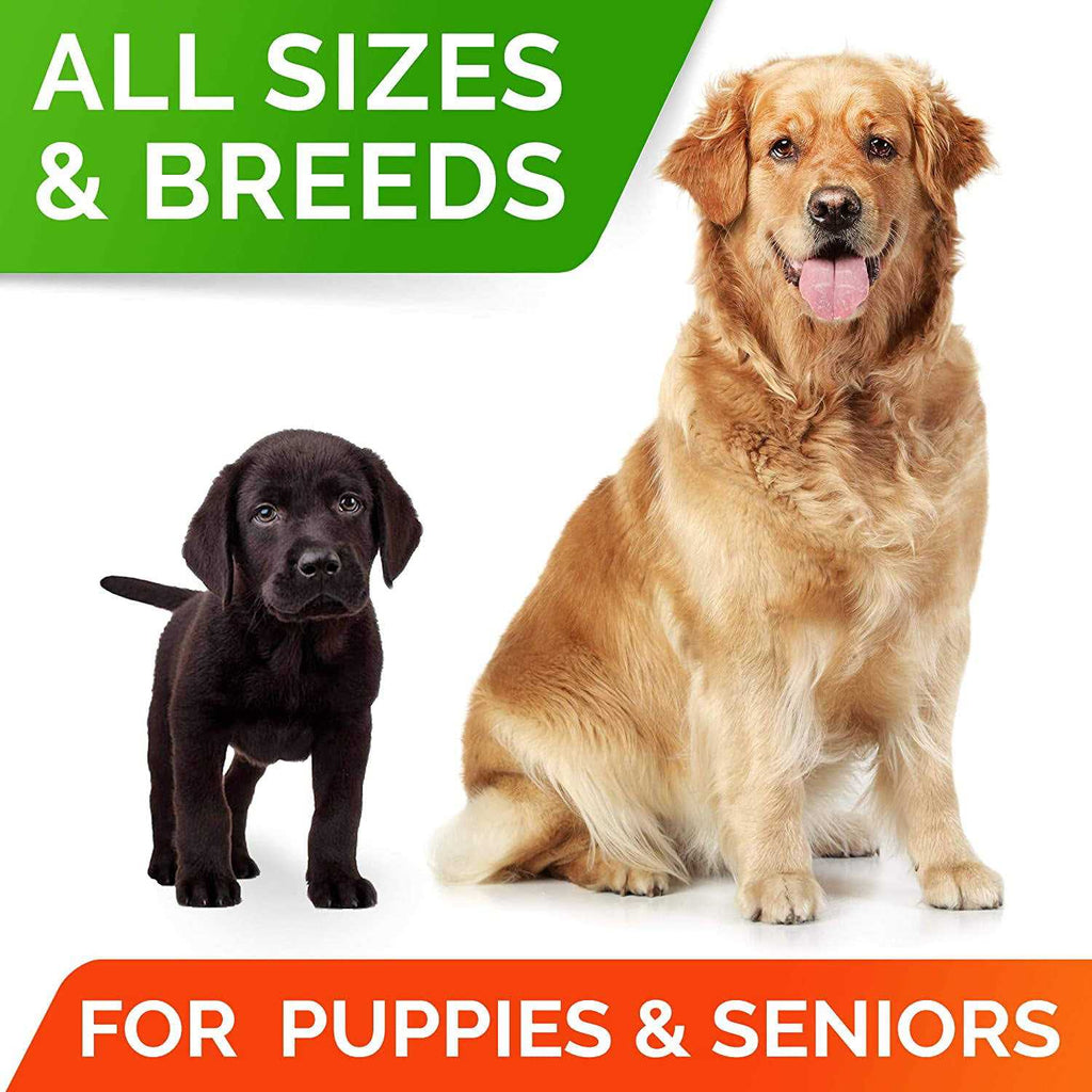 Probiotics for Dogs R32506