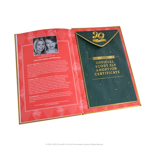 Posable Boy Scout Elf with Blue Eyes Box Set W880129