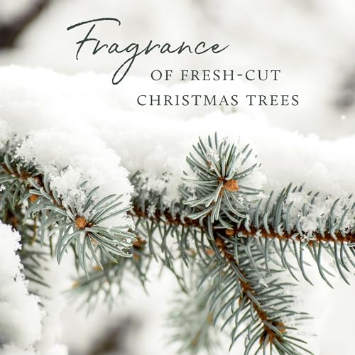 Frasier Fir Pine Needle Candle (2 oz) I3855