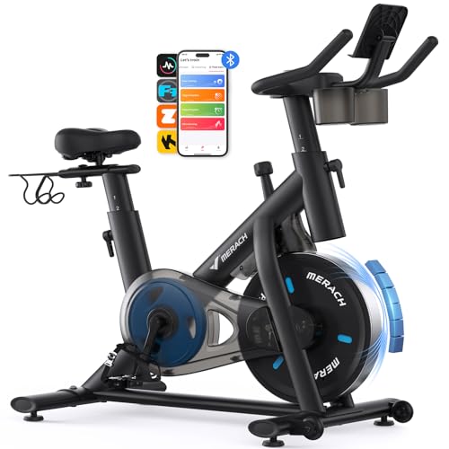 Exercise Bike with 300lbs Weight Capacity L125
