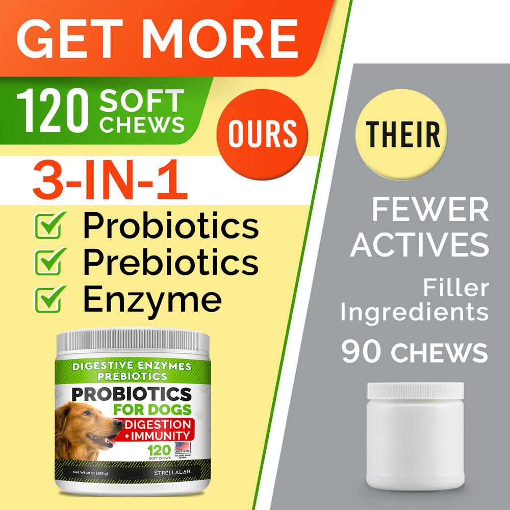 Probiotics for Dogs R32506