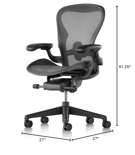 Graphite Ergonomic Office Desk Chair V694793