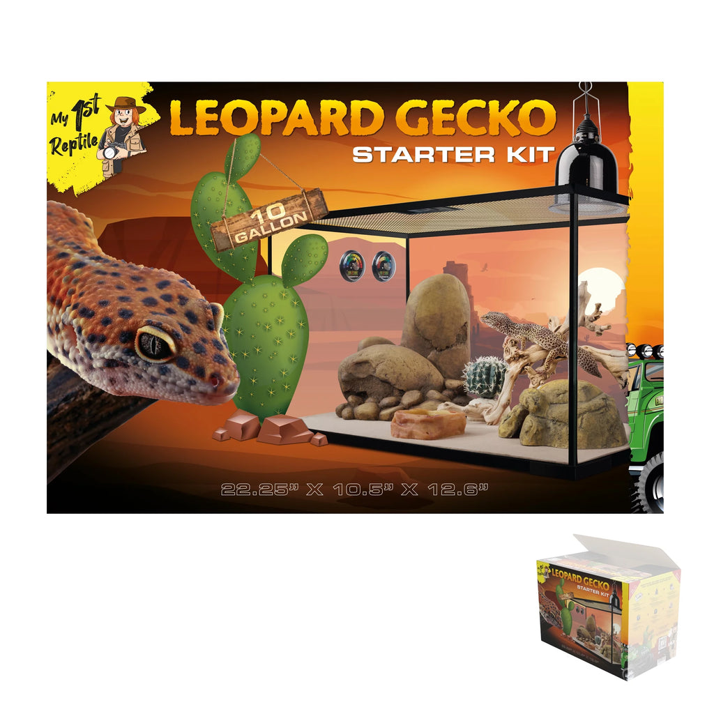 Leopard Gecko Reptile Starter Kit T245340