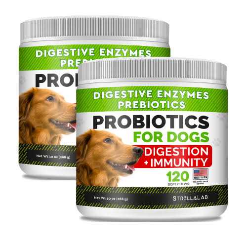 Probiotics for Dogs R32506