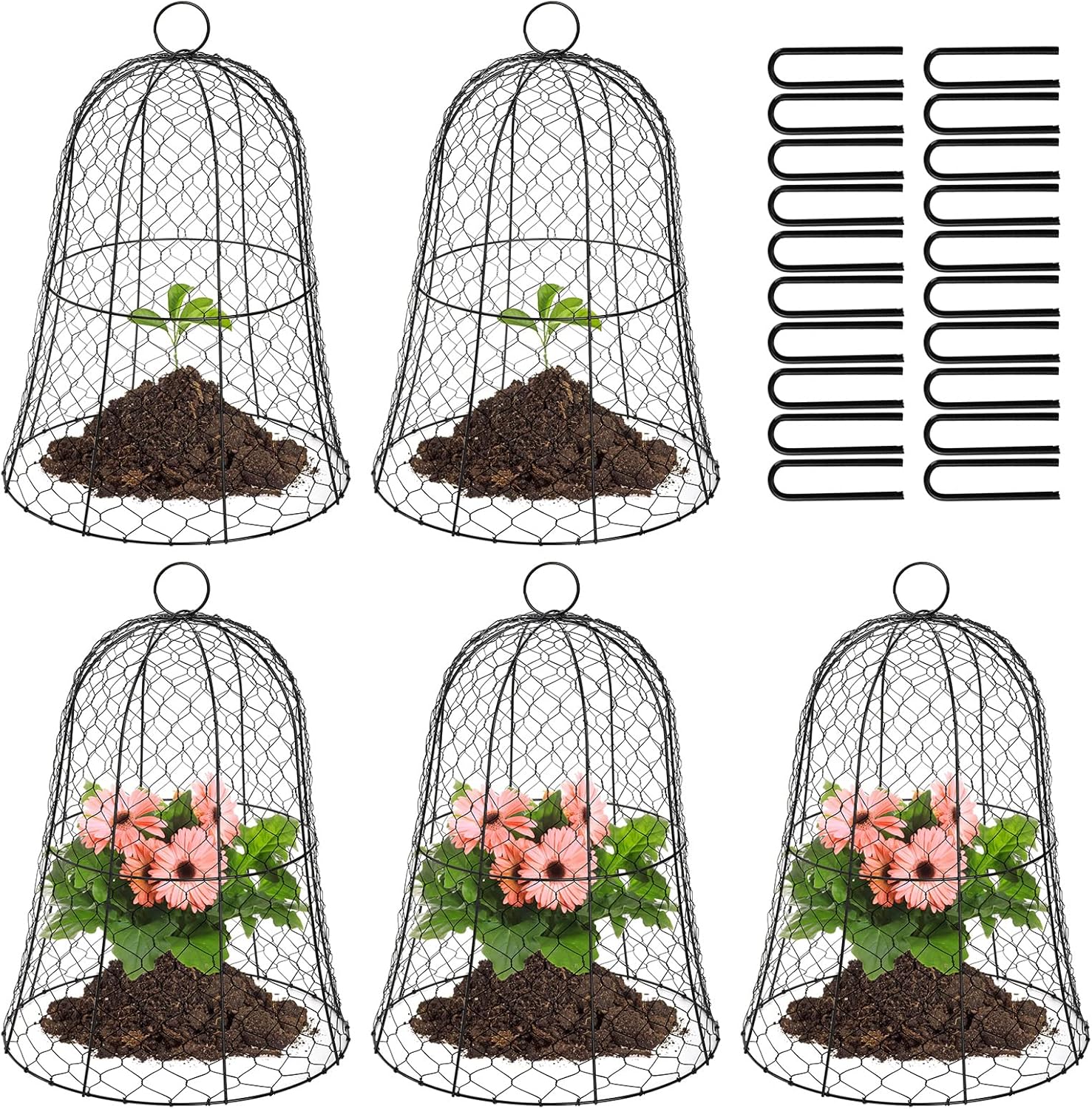 Black Metal Garden Cloche 5 Pack K526948