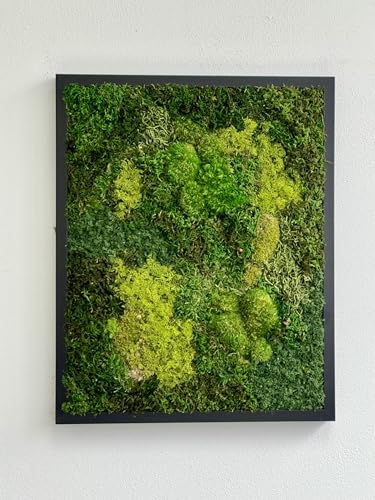 31" x 14.5" Black Moss Wall Art E724