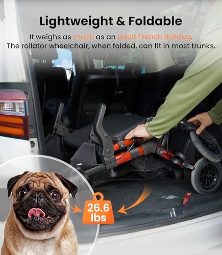 Lightweight Foldable Rollator Walker with Seat and Brakes A4476