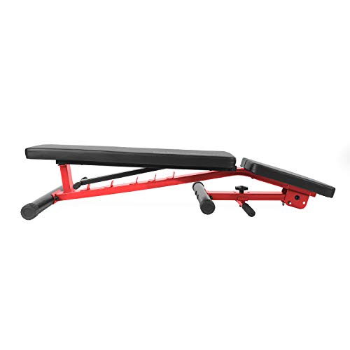 Adjustable Utility Bench K39424