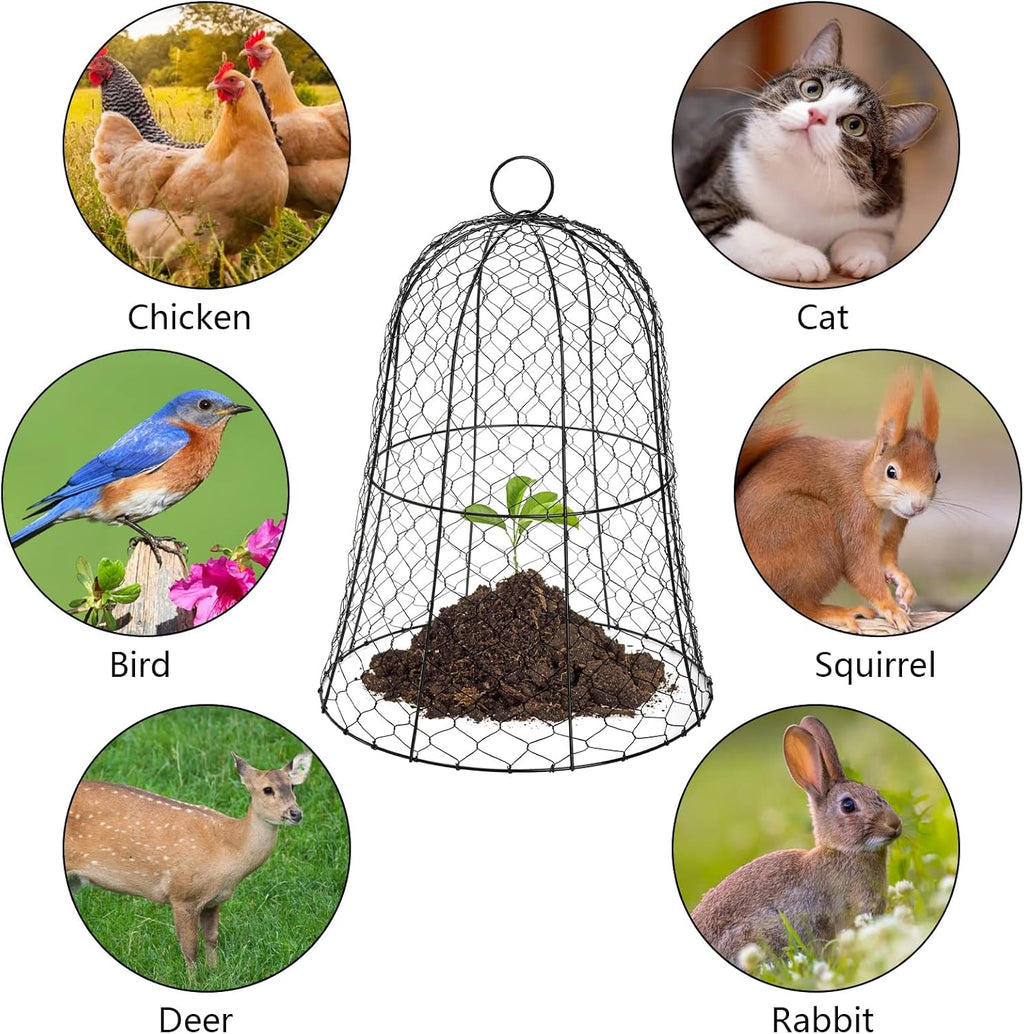 Black Metal Garden Cloche 5 Pack K526948