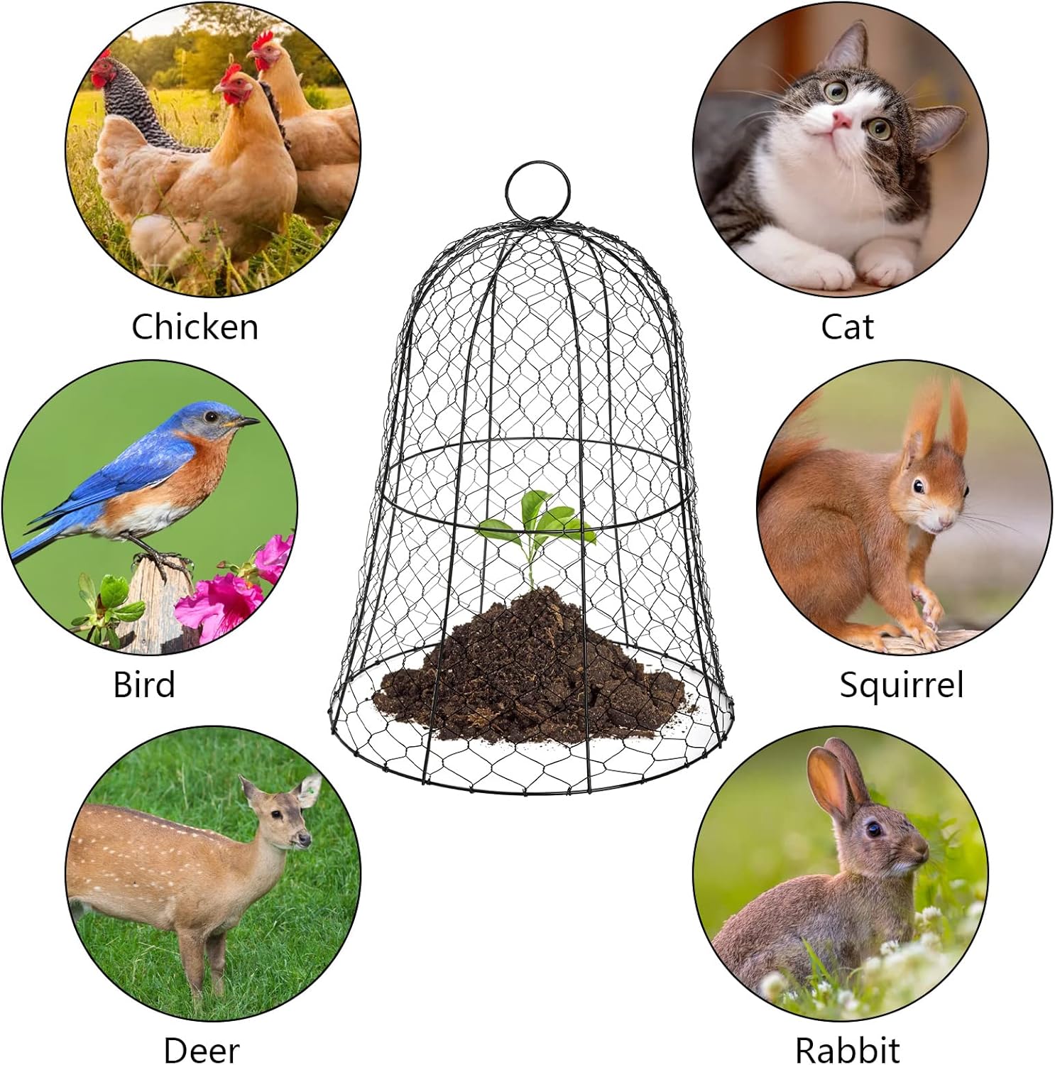 Black Metal Garden Cloche 5 Pack K526948