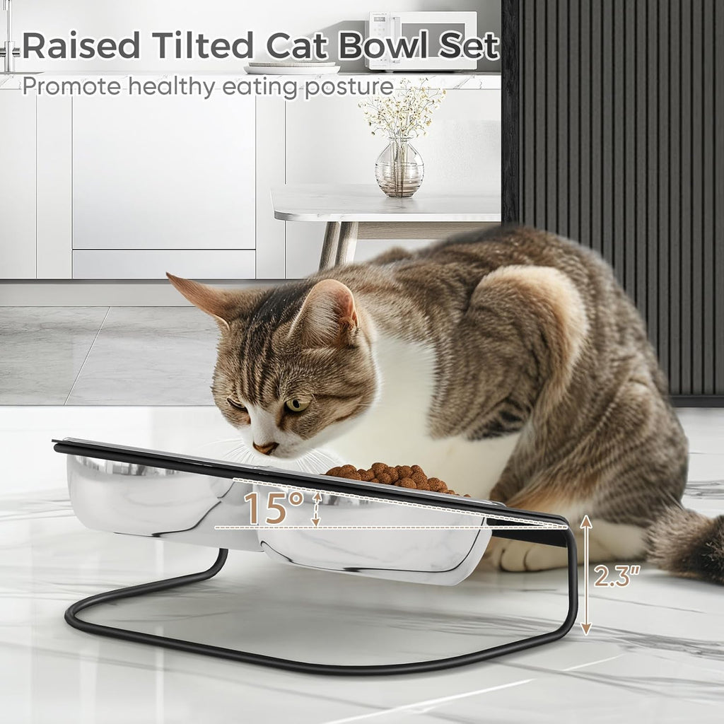 Raised Cat Food and Water Bowl Set with Stainless Steel Stand, 15° Tilted Elevated Cat Bowl, Double Metal Bowls T474477