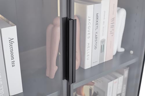 5 Shelves Metal Glass Display Cabinet F5156