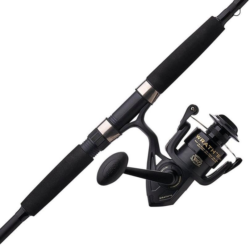 Spinning Reel and Fishing Rod Combo C985693