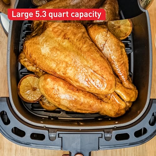 Mini Deep Fryer, Stainless Steel, 1 Liter, 900 Watts, Black B7422