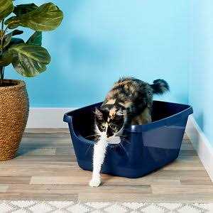 High Sided Cat Litter Box B9618