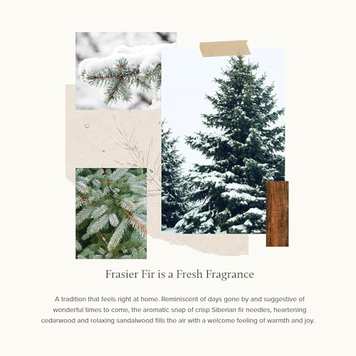 Frasier Fir Pine Needle Candle (2 oz) I3855