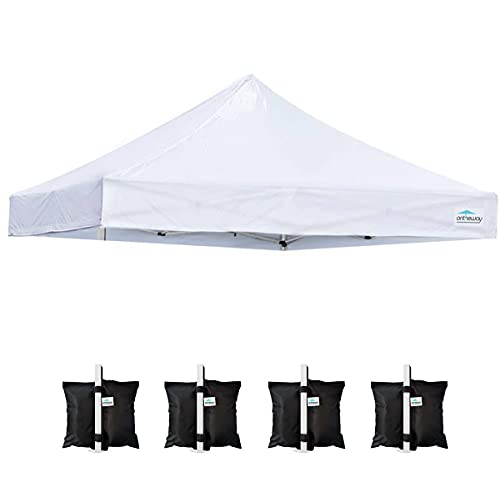 10' x 10' Replacement Canopy Top L2588