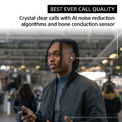 Wireless Noise Canceling Earbuds (Used) T89690