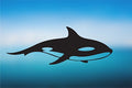 Orca Vinyl Decal R85734