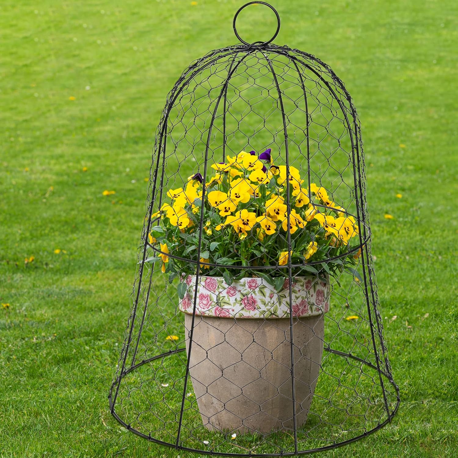 Black Metal Garden Cloche 5 Pack K526948