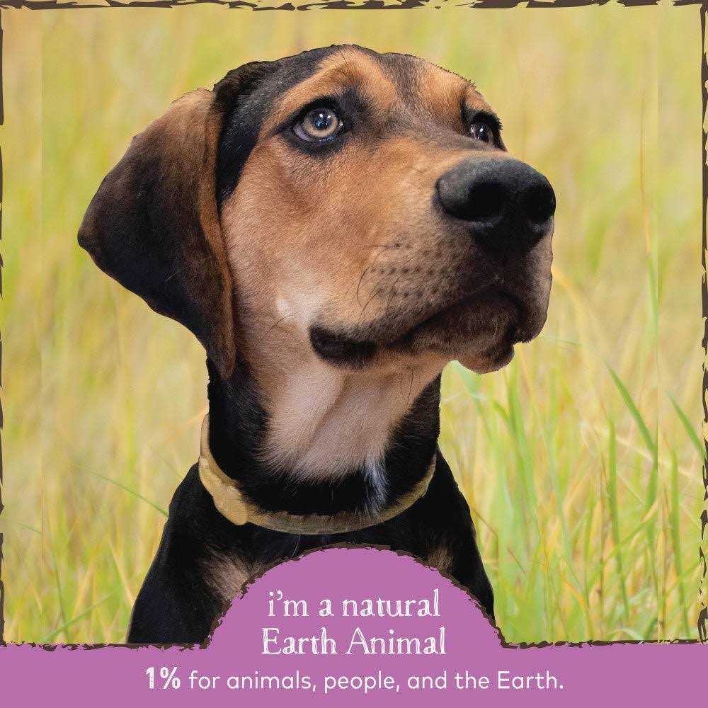 Flea & Tick Daily Herbal Internal Powder N2570