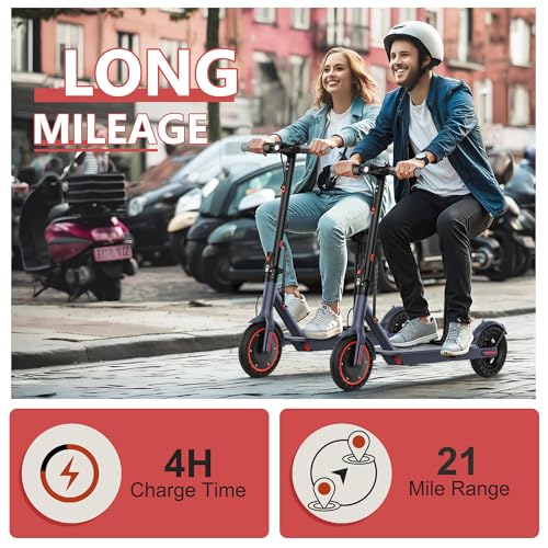 8.5"/10" Tire Electric Scooter with Dual Suspension D731