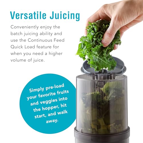 Juicer Q4982