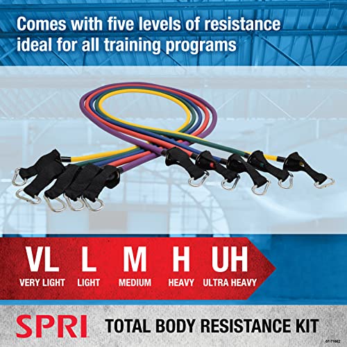 Resistance Band Kit with 5 Exercise Bands, Ankle/Wrist Strap, Padded Handles, Door Anchor, Carry Bag B205