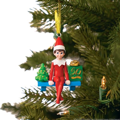 Boy with Blue Eyes Posable Christmas Elf and Storybook P24277