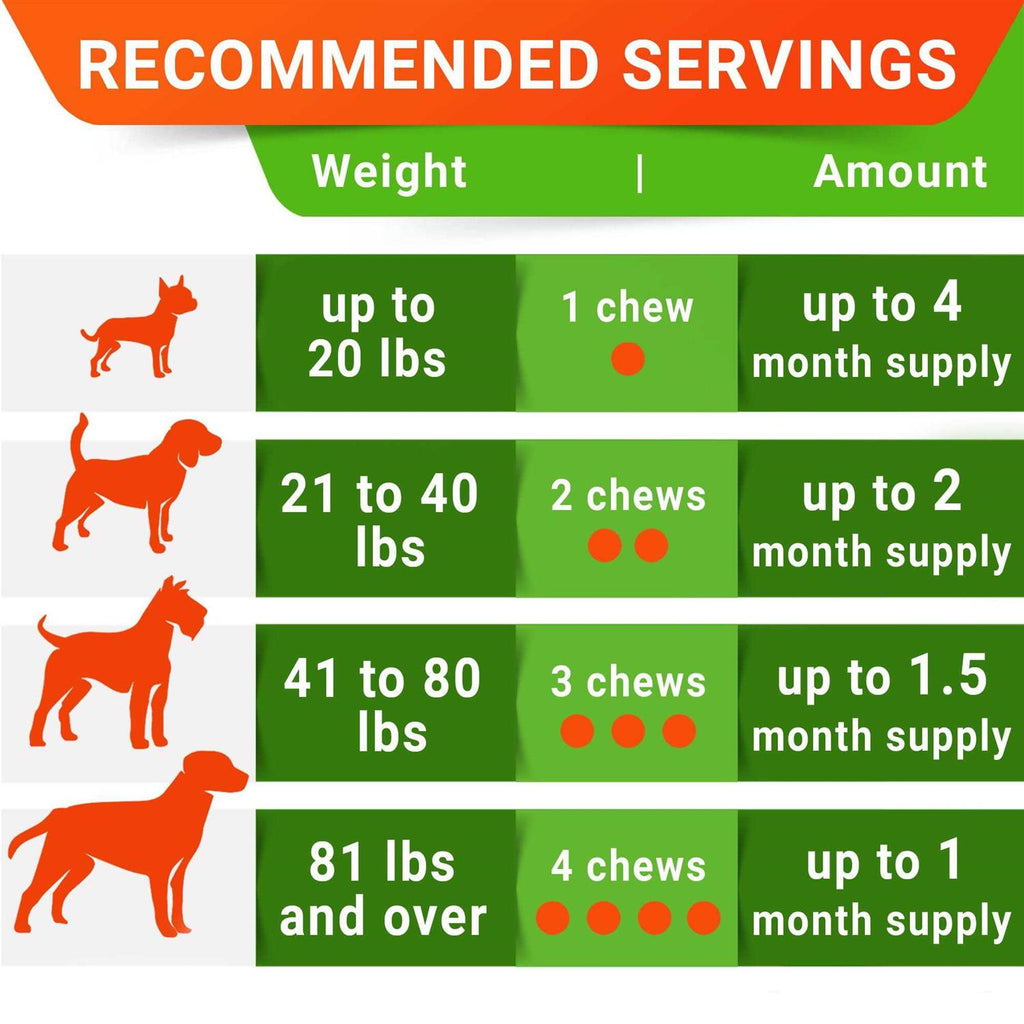 Probiotics for Dogs R32506