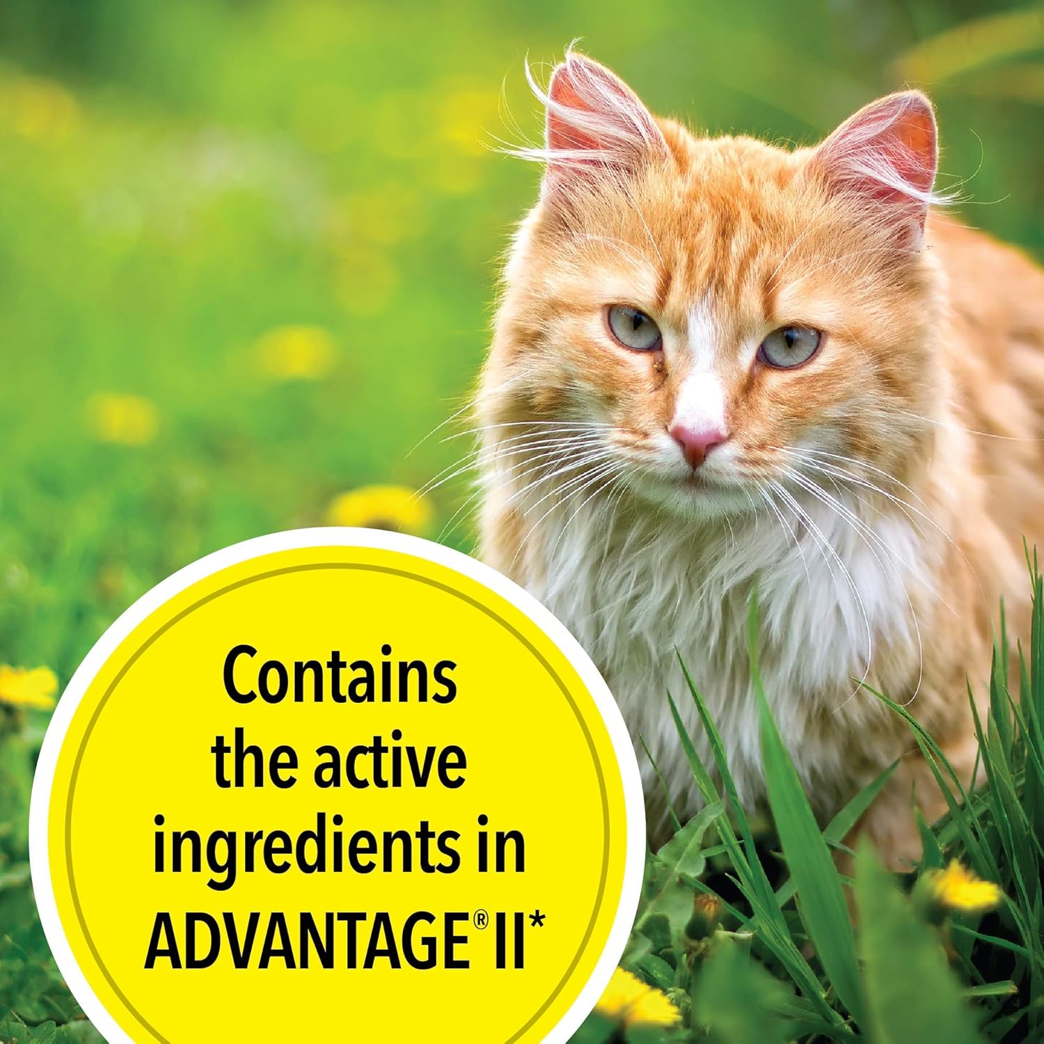 6 Doses Flea Treatment for Cats 5-9 lbs Z372