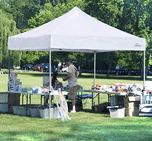 10' x 10' Replacement Canopy Top L2588
