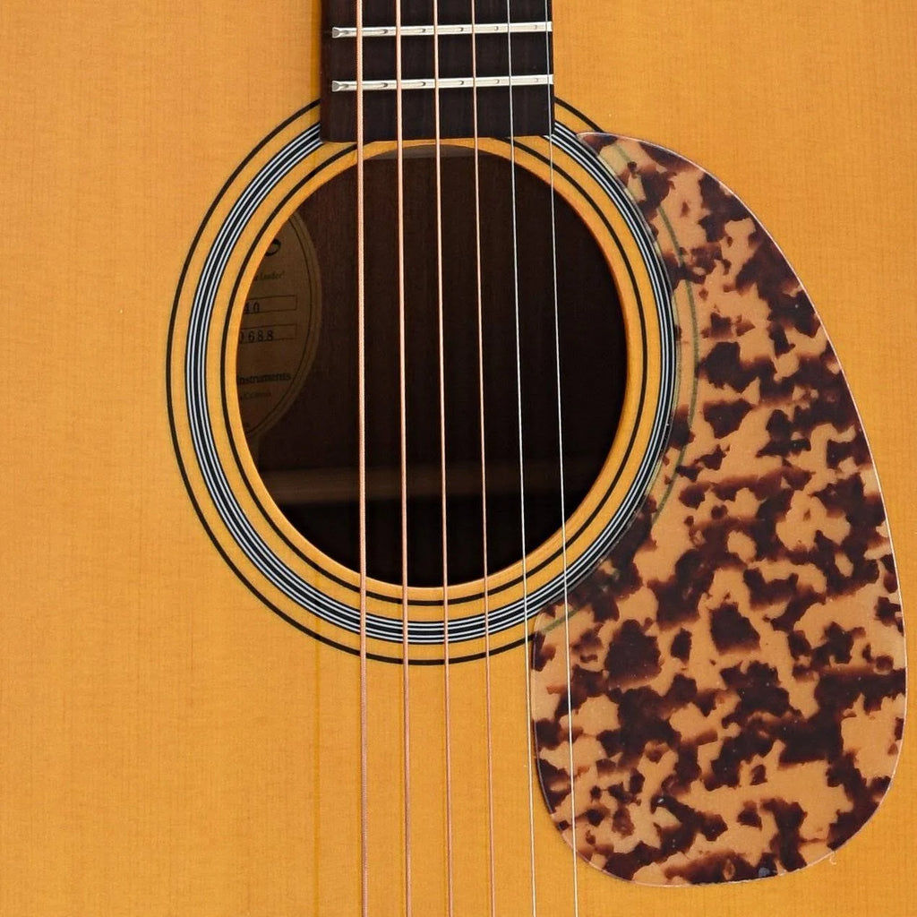 Acoustic Guitar Dreadnought Y6454