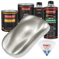 Sterling Silver Metallic Basecoat Quart Kit N21282