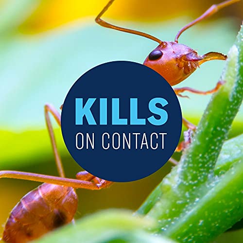 1 lb Fire Ant Killer Dust W3413