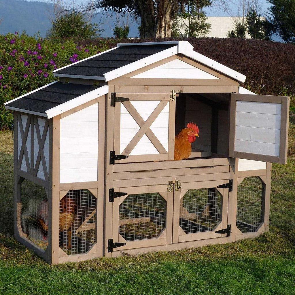 Country Style Chicken Coop N292
