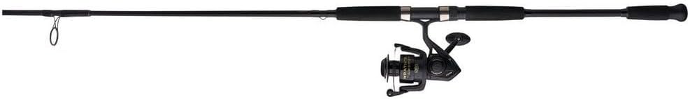 Spinning Reel and Fishing Rod Combo C985693