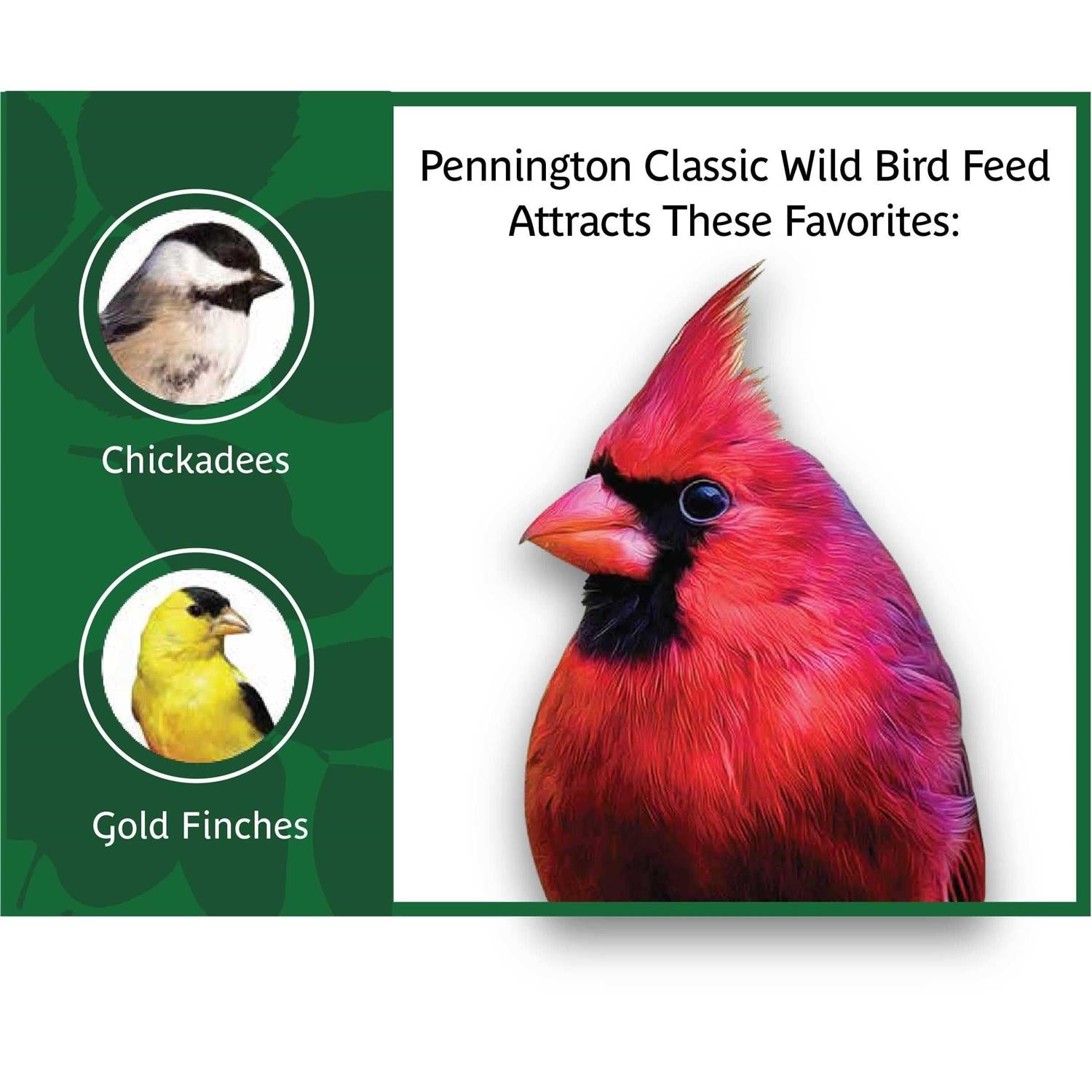 Classic Wild Bird Feed and Seed Y3615
